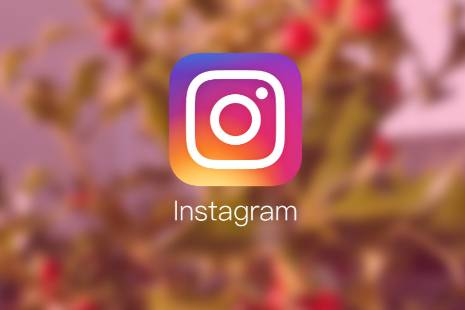 Follow us on Instagram