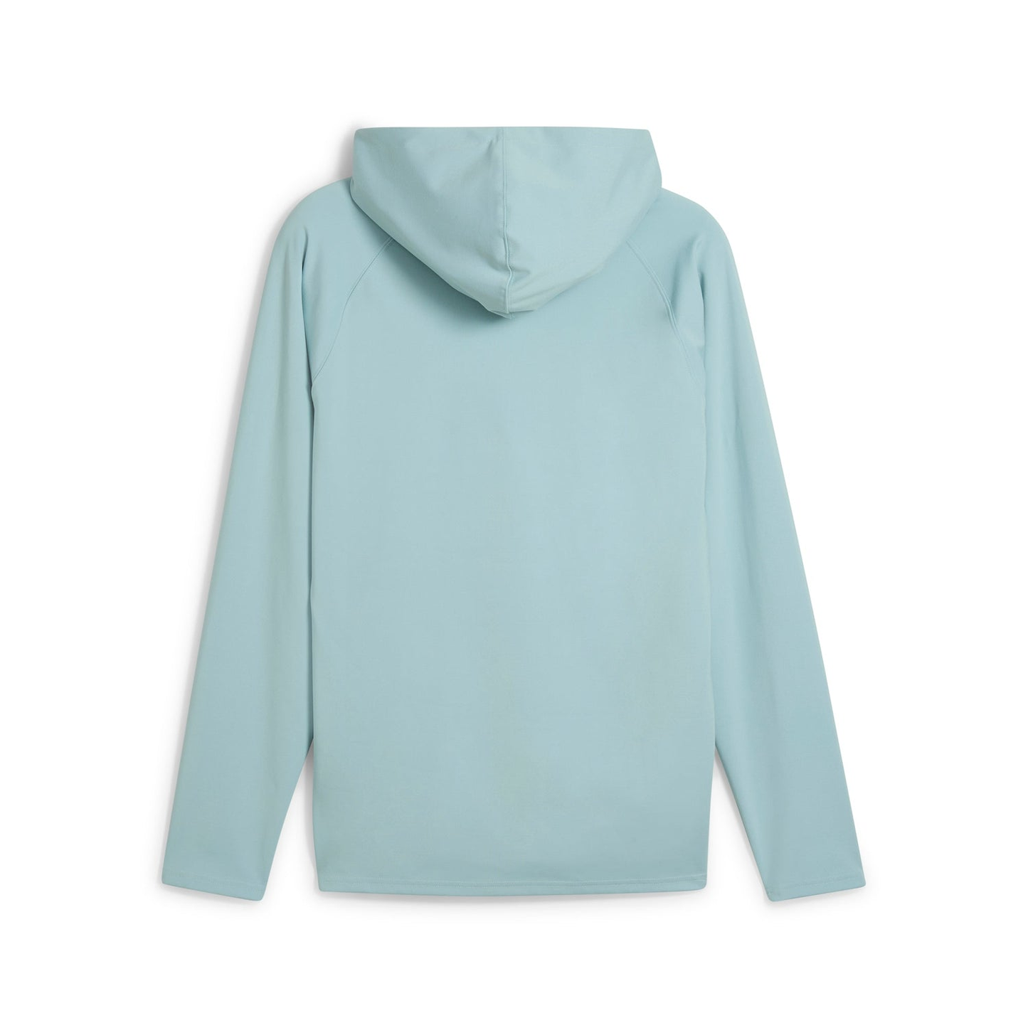 Men's 100% Cotton Thick Heavy French Terry High Quality Blank Oversized Streetwear Custom logo Pullover Modern Mint Hoodie